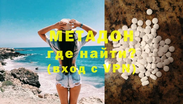 прущие грибы Аркадак