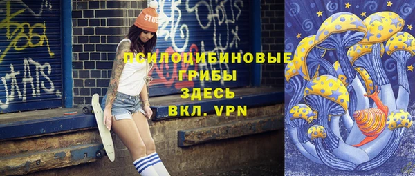 молекула духа Армянск