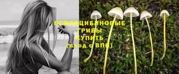 молекула духа Армянск