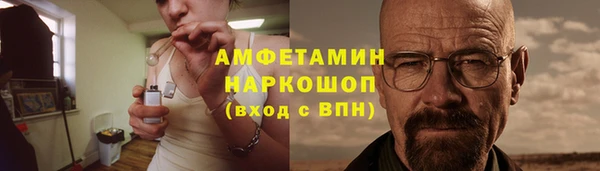 прущие грибы Аркадак