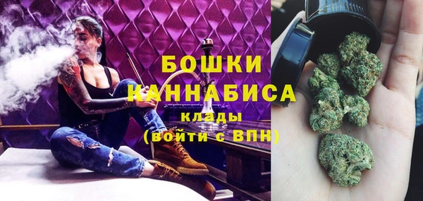прущие грибы Аркадак