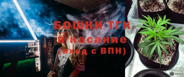 прущие грибы Аркадак