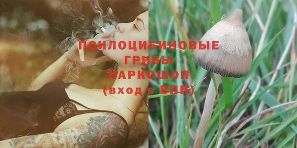 молекула духа Армянск