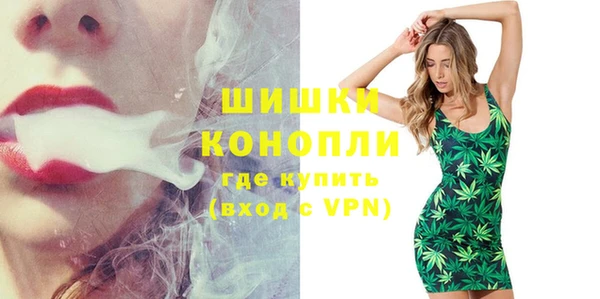 прущие грибы Аркадак