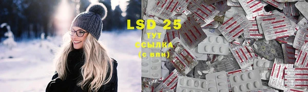 молекула духа Гатчина